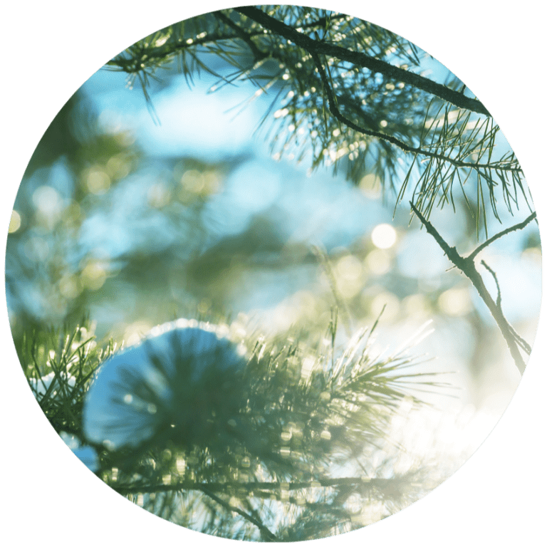 HH Spring Equinox 2025 Priestess Presence